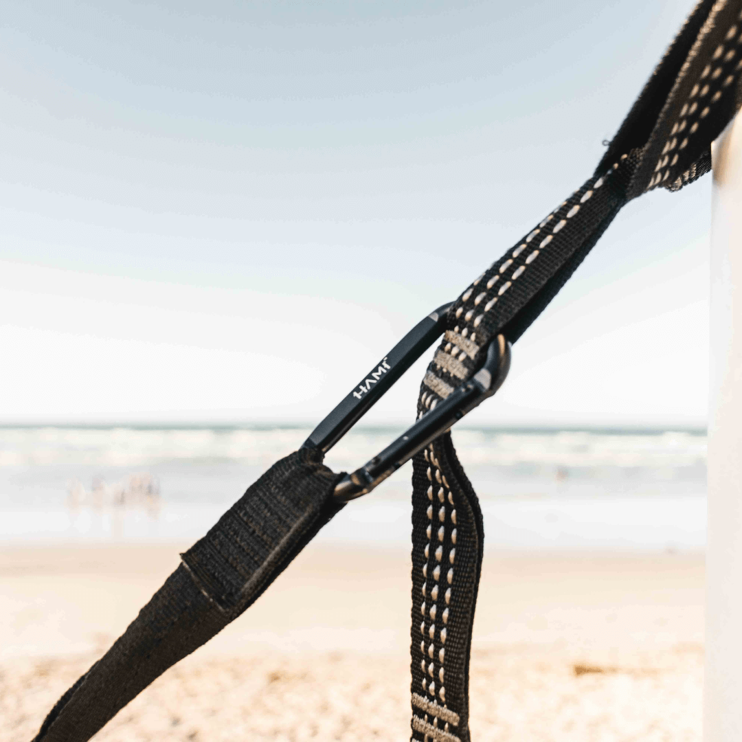 HAMI CARABINERS