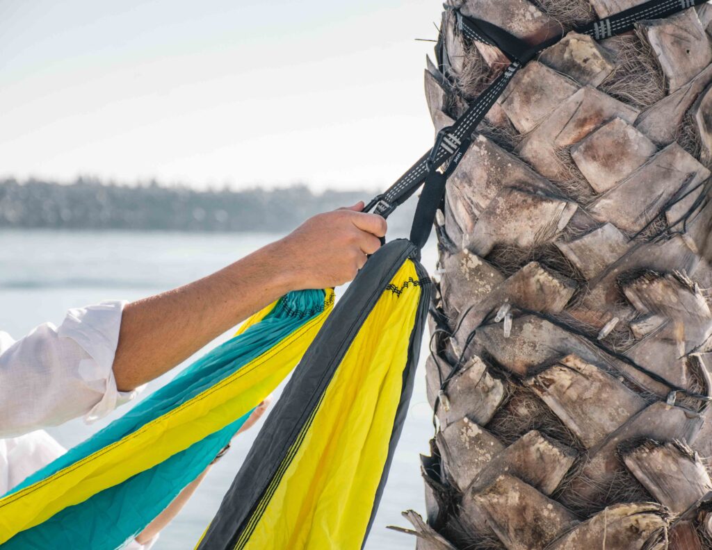 Straps that hug the tree.